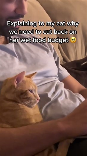 Try explaining inflation to a cat 😭 She just stares at me with those eyes.