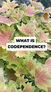 What is Codependence? #mentalhealth #therapy #therapist #mindset | Jim Brillon Therapist LMFT