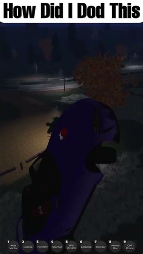 How Did I do This???