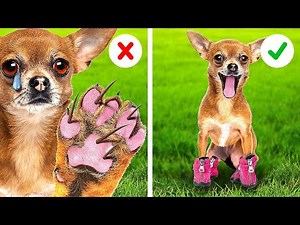 ペットの飼い主必見！緊急時用ハック||ペット愛好家のための便利で賢いハック＆ガジェット