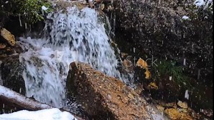 Close-up of a mountain stream cascading over rocks during a snowfall, with fresh snowflakes covering nearby stones and moss, creating a serene winter moment
