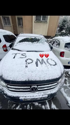 Understanding Ts PMO: Meaning and Context Explained