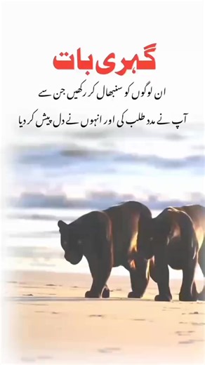 1.4K views · 63 reactions | Poetry World on Reels | Facebook