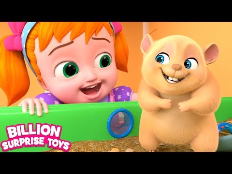 Hamster and new pet home cartoon show! Family Funny Indoor moments with Pets