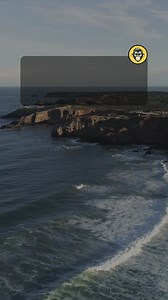 215K views · 2.5K reactions | Interesting Facts About Science Trivia Quiz Game. Follow for more fun and exciting quizzes. . . #BranyMonkey #triviachallenge #quiz #quizvideos #QuizTime #TriviaTime #didyouknowfacts #DidYouKnow #moreyouknow | Brainy Monkey | Facebook