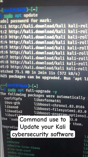 Sudo apt update || Sudo update…. Command to update your Kali Cybersecurity software VMWare