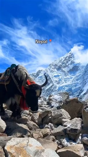 ✨🏔 Everest Base Camp Trek 2025/2026 🏔✨ The Everest Base Camp Trek is Nepal’s most iconic adventure, offering trekkers a chance to experience the legendary Mount Everest trek in the heart of the Khumbu region. Starting with the thrilling Kathmandu to Lukla flight, the journey follows the classic EBC trek route through Sagarmatha National Park, past charming Sherpa villages, ancient monasteries, and breathtaking Himalayan landscapes. Along the way, trekkers enjoy stunning views of Everest, Lhots