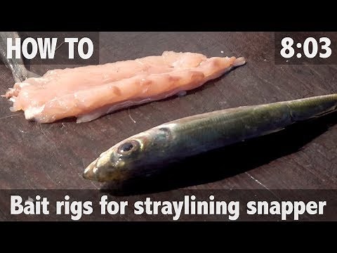 Straylining for Snapper: Bait Rigs