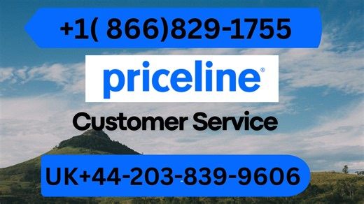 How to Contact Priceline Official ⨠ Customer Service Complete Guide to Live Chat, Email & Call