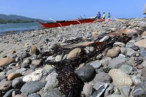 76 coastal barangays across 9 Oriental Mindoro towns put under state of calamity