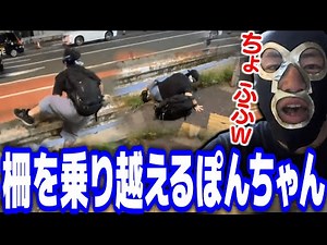 タクシーを止めるぽんちゃんを見て笑っちゃう横山緑【202386】