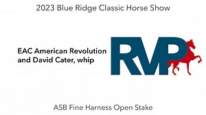 BR23 - Class 208 - EAC American Revolution and David Cater, whip