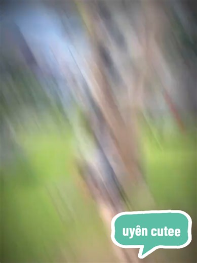 #xuhuongtiktok spamspam