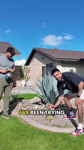 Eliminate Back Breaking Work with This Blow Torch