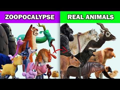 Night of the Zoopocalypse Characters vs Real World Animals Compared