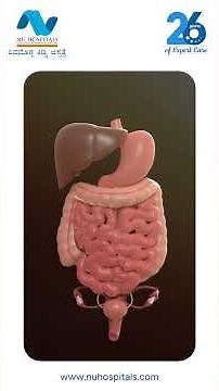 Expert Urologist Shares TOP TIPS to Prevent UTIs Naturally | Dr Pradeepa M G