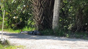 358K views · 571 reactions | Another day, another #dailydoseofDing!...