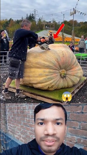 What’s Inside This Giant Pumpkin? Unbelievable!