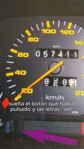 Reset de servicio Seat Ibiza 94-99