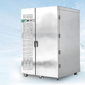 [Hot Item] Commercial Food Fruits Pastry Compressor Blast Freezer