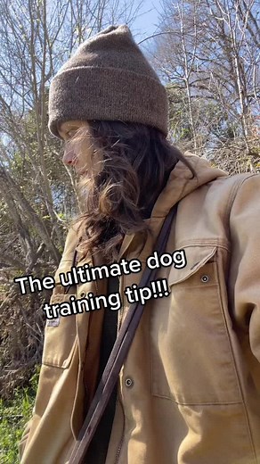 Screw the coffee shops and public places with your dog, take them somewhere they’re REALLY happy #dog #dogsoftiktok #dogs