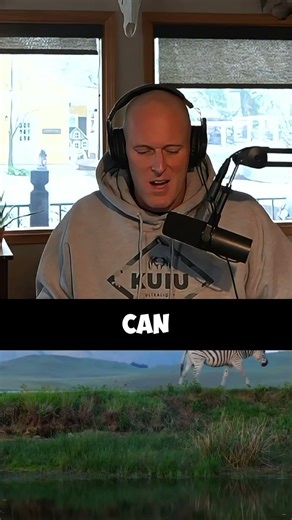 OPTIMAL Annuity Allocation: The Annuity Calculator You've Been Waiting For