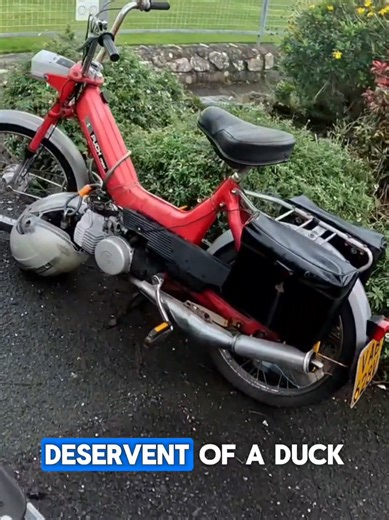 what's the coolest and most unique bike you've ever seen? #duckguy #mopped #wholsome #happy #unique