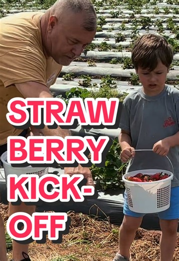 Lanes strawberry kickoff! Food trucks, local vendors, strawberry picking, ice cream—oh what fun! Today from 11am-4pm #strawberry #strawberrypicking #fortvalleygeorgia #georgia #funthingstodo