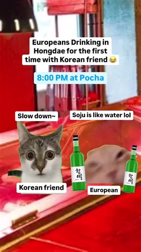 They underestimate soju power 😂 DM me on insta @madkoreanclass if you want to join craziest Korean class in Seoul! #korean #learnkorean #koreanclass #koreanfriends #seoul #한국어 #한국어수업 #madkoreanclass #kpop #kdrama #koreatravel #koreanphrases #studyingkorean #koreanstudy #grammarkorea #hangul #expatinkorea #seoullife #seoulnightlife #soju #hongdae #sinchon #itaewon #gangnam #basickorean #livinginkorea #koreanteacher #koreanlanguage #meme #catmeme