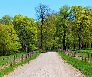 T L Designs on Reels | Facebook