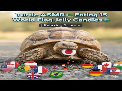 Turtle ASMR 🐢 Eating 15 World Flag Jelly Candies 🌎 | Relaxing Sounds