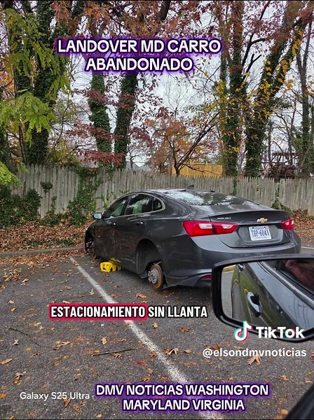 Elson Rivas (@elsondmvnoticias)’s videos with Breaking News, TV Shows, Report, Broadcast, Live, Serious, Business, World(1323125) - SAKUMAMATATA