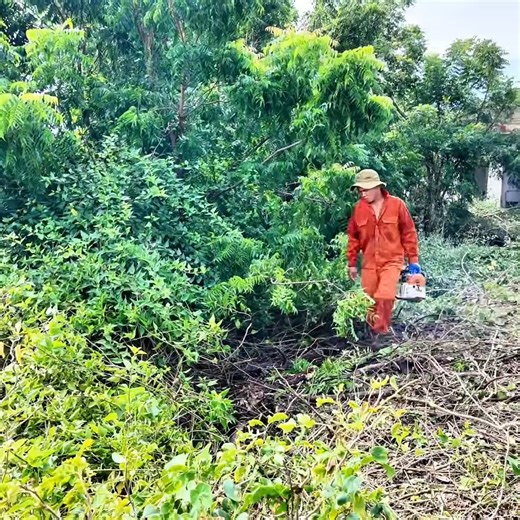A house reclaimed by nature for decades — one of the toughest and most challenging cleanups we’ve ever taken on.#AbandonedHouse #ExtremeCleanup #RestorationJourney #BeforeAndAfter #NatureReclaimed #SatisfyingClean # | Clean The Old House