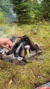 What will be my dinner？ 🤔 #cooking #campfire #firekitchen #asmr #firefreaks #bushcraft #usafood #asianfood #cooktok #EasyRecipes #mukbangers #food #cooking #Fantestic #yummyfood #recipe | Boom Chef