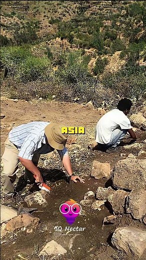 Ancient “City Of Giants” Uncovered In Ethiopia #086