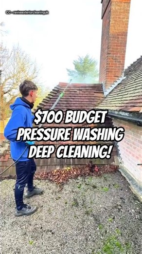 $700 Pressure Washing Transformation - 9 Months of Dirt Gone in Minutes!