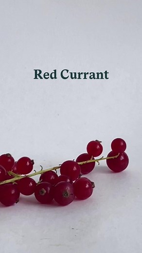 Red Currant Health Benefits for Hair and Skin
