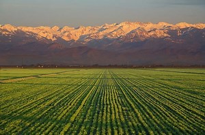 San Joaquin Valley - Alchetron, The Free Social Encyclopedia