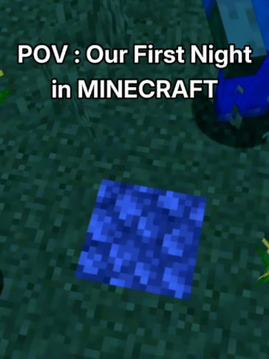 POV : Our First Night in Minecraft | payphone