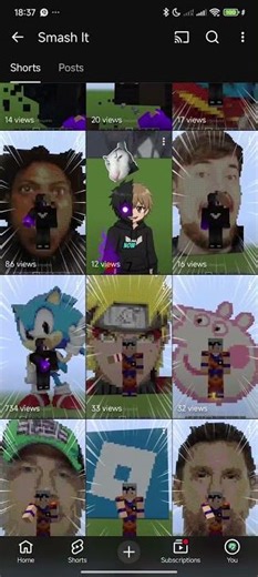 view test 🤯 #minecraft #shorts