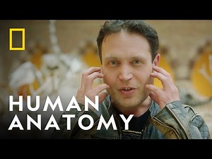 Making Sense Of The Human Body With National Geographic Explorer Nizar Ibrahim
