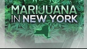 Hochul taps policy director John Kagia to lead Office of Cannabis Management