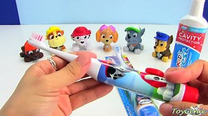 Paw Patrol Brushing Teeth with Chase and Marshall Toothbrushes