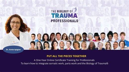 Become a Biology of Trauma® Professional - 1 Year Training Program