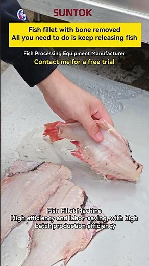 Fish fillet machine for redfish