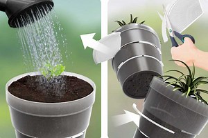 Adapta Pot : l'invention d'un pot qui grandit avec la plante récompensé au concours Lépine