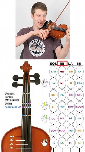 Notes on the D string #d #dstring #violin #violinist #sheetmusic #france #quebec