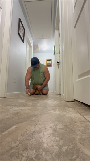 Let’s talk puppy training. Here’s an example of the hallway drill. The puppy is introduced to the feather-scented sock and has to go get the sock and come right back. We continue this drill for several weeks before we initiate drills outside. This helps the puppy with heel, sit, and fetch. These Mamie x Ax puppies got it! | Prairie Star Gundogs LLC