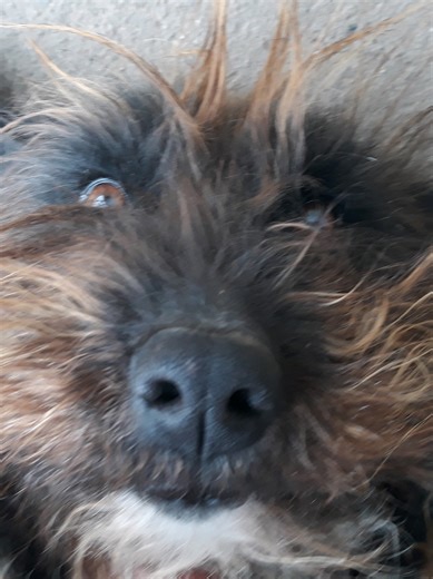 ᚲᚨᛚᛗᚨᚾ ᚨᚾᛞᚱᚨᛊ ᛉᛟᛚᛏᚨᚾ (@yotengrit_lapkumanja)’s videos with eredeti hang - ᚲᚨᛚᛗᚨᚾ ᚨᚾᛞᚱᚨᛊ ᛉᛟᛚᛏᚨᚾ