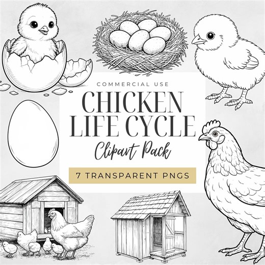 Black & White Chicken Life Cycle Clipart, Farm Animal PNG, Hen Chick Egg, Growth Stages Illustration Clip Art, Science Classroom, Homeschool - Etsy UK
